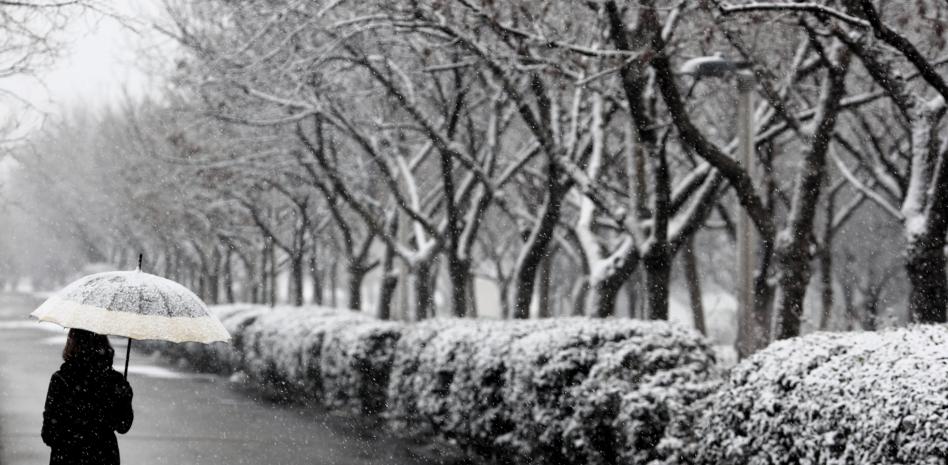 Borrasca Filomena: temperaturas de -35º grados y un temporal de nieve histórico en España