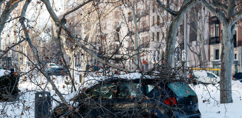 Madrid, declarada zona catastrófica tras la gran nevada de la borrasca Filomena