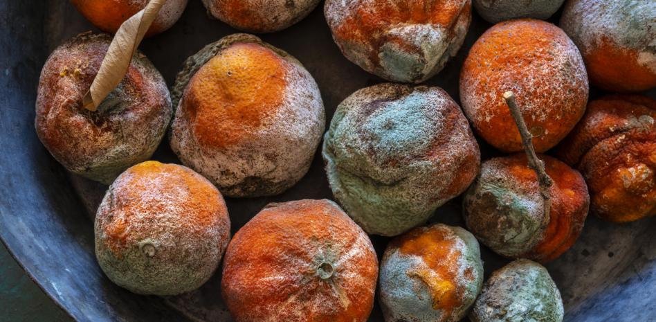 Los trucos para evitar que el moho eche a perder tus naranjas