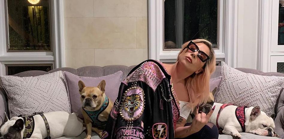 Secuestran dos perros a Lady Gaga tras disparar repetidas veces a su paseador personal