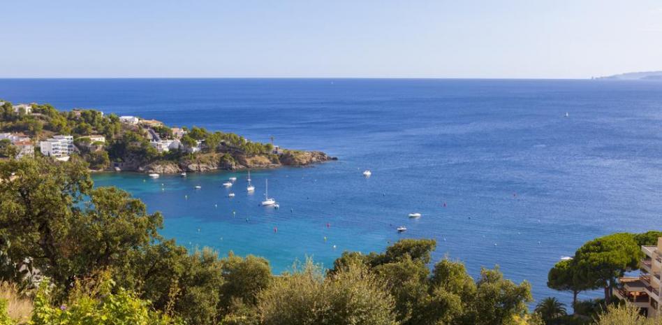 El parque eólico marino flotante respetará el corredor de los cetáceos