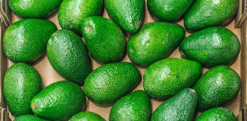 Los agricultores alertan sobre la presencia de una sustancia ilegal en aguacates de Marruecos