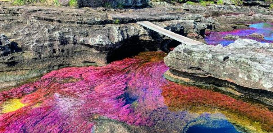 Caño Cristales, el río más bonito del mundo, ya se puede visitar después de varias décadas cerrado