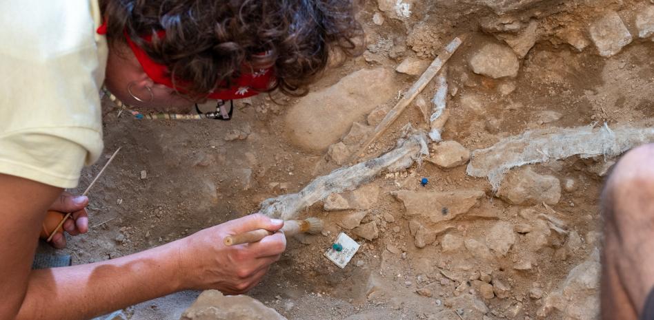 Aparece en Lleida un Homo sapiens de hace 14.000 años