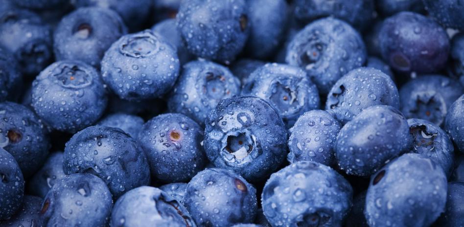 Los 10 mejores alimentos para prevenir infecciones