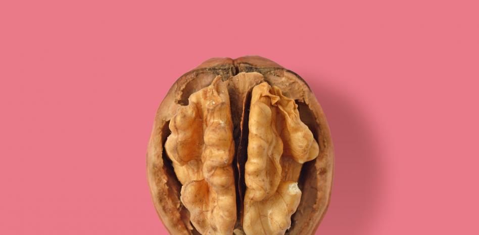 El ayuno intermitente también podría tener beneficios para el cerebro