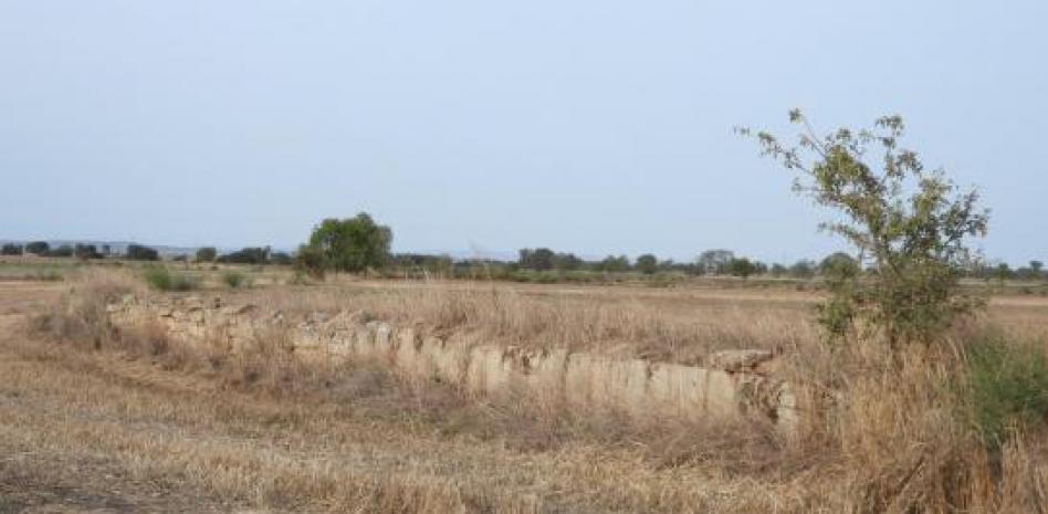 Reto visual: ¿Eres capaz de encontrar al pájaro en menos de un minuto?
