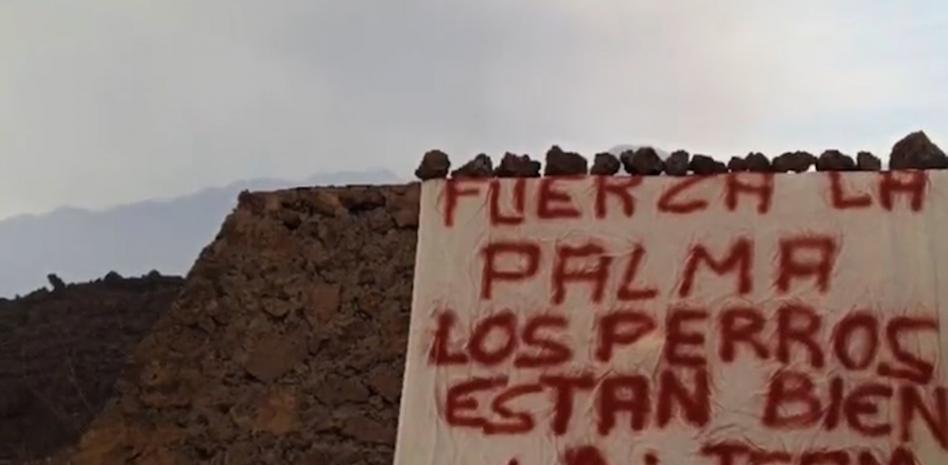 Volcán de La Palma: el misterio de los perros de la lava y el ‘Equipo A’