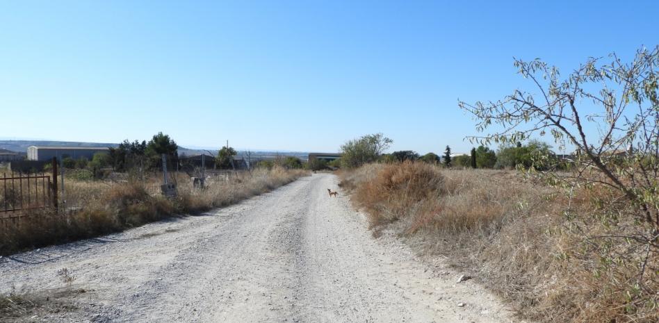 Reto visual: ¿Eres capaz de ver dónde está el gato en menos de un minuto?