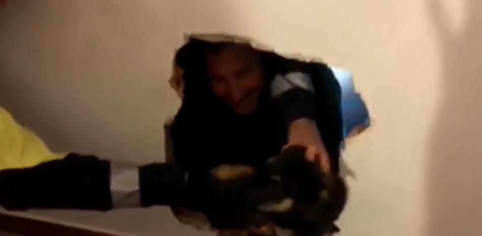 Así ha sido el rescate de Vella, un pastor alemán de tan solo tres meses atrapado en una tubería