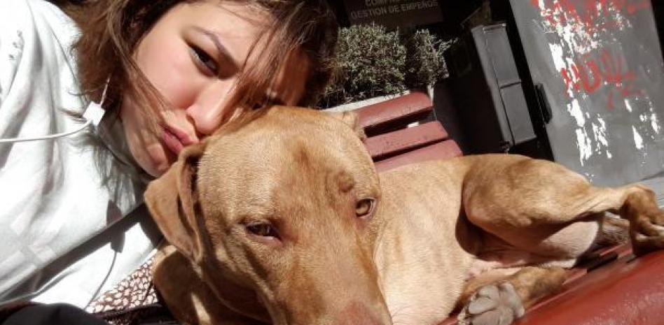 El dilema con Tuco, el primer animal al que afecta la nueva ley de mascotas: “Él es de mi familia”