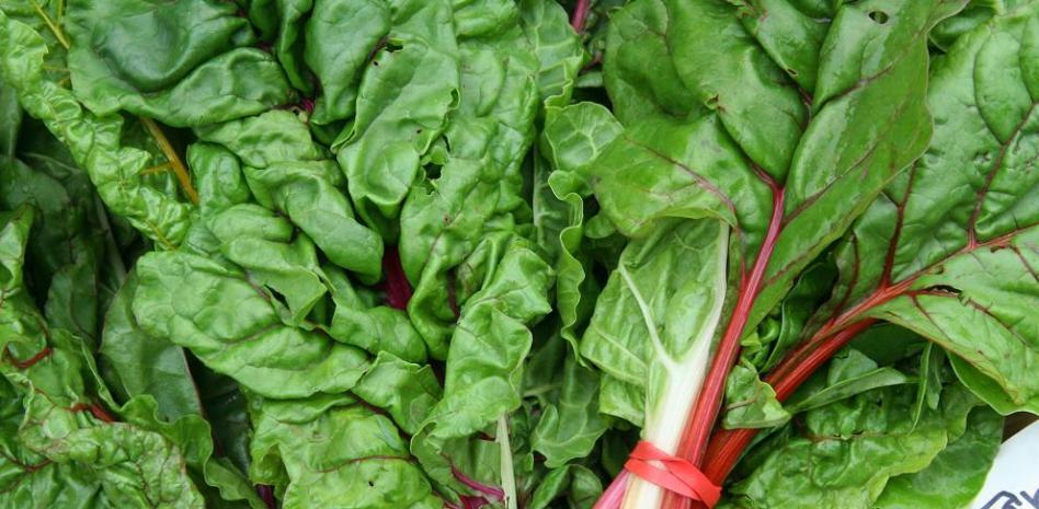 Acelgas: descubre sus beneficios, propiedades y valor nutricional