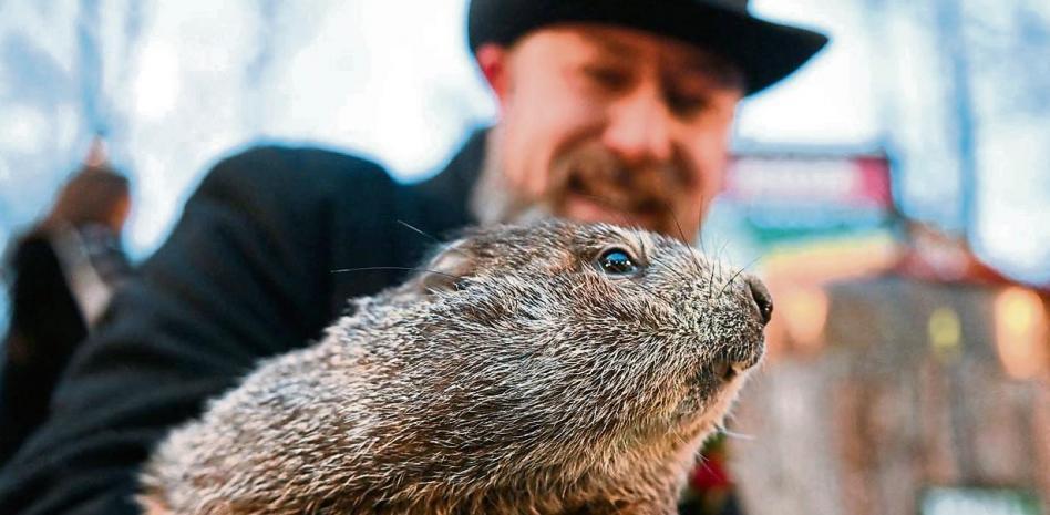 ¿A qué marmota hay que hacer caso?