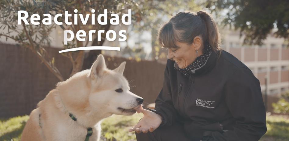 ¿Tu perro ladra a otros perros? Consejos de la experta para conseguir un paseo tranquilo