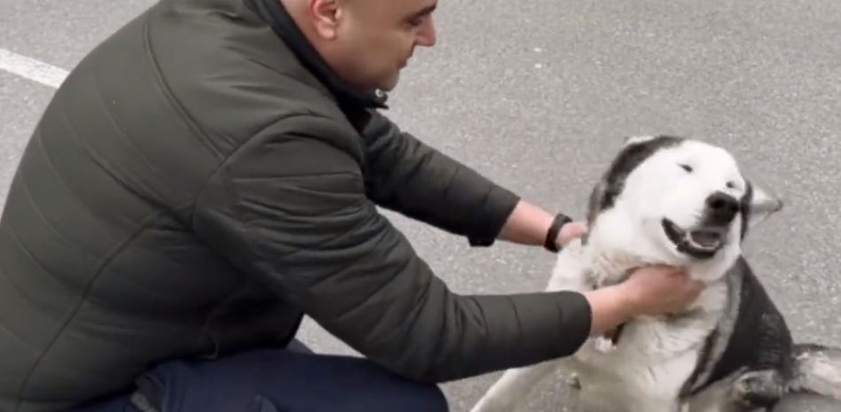 El conmovedor reencuentro de un perro con su dueño después de la masacre de Bucha