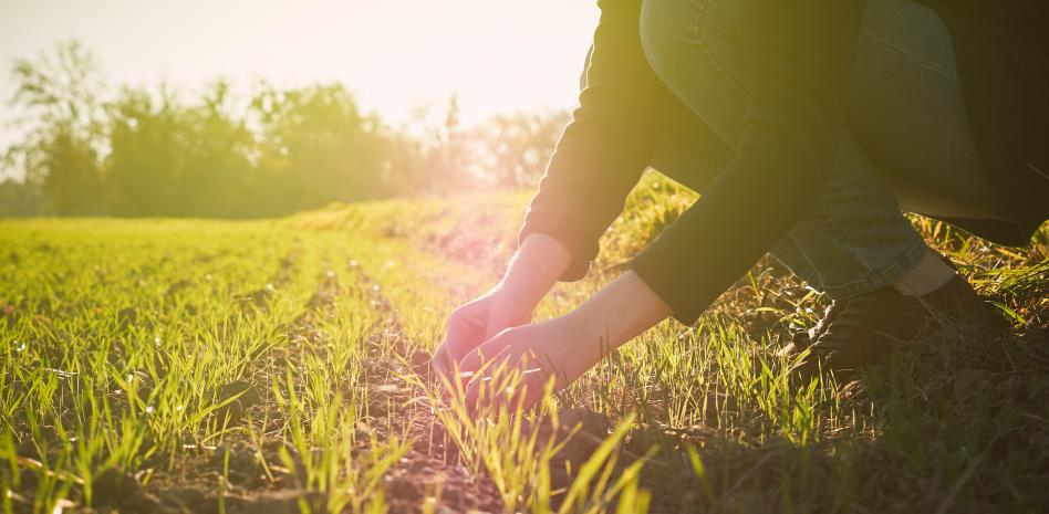 Guyana Guardian Talks y Kiwa abordan en la UPV los retos de la sostenibilidad resiliente