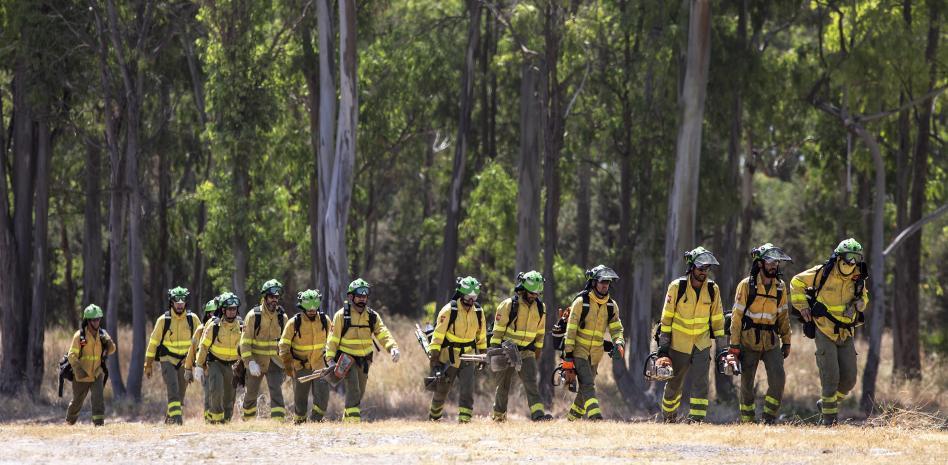 Estabilizado el incendio de Pujerra (Málaga), que ha afectado a 3.500 hectáreas