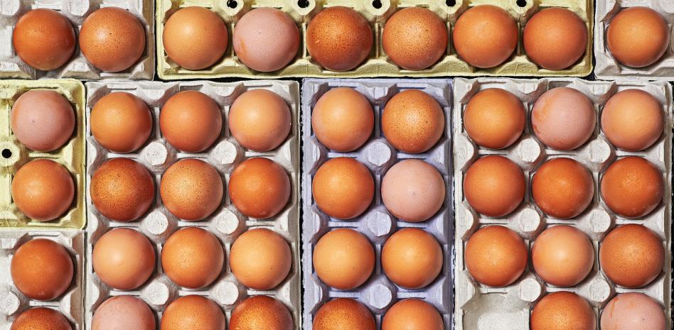 ¿Por qué se venden los huevos en docenas?