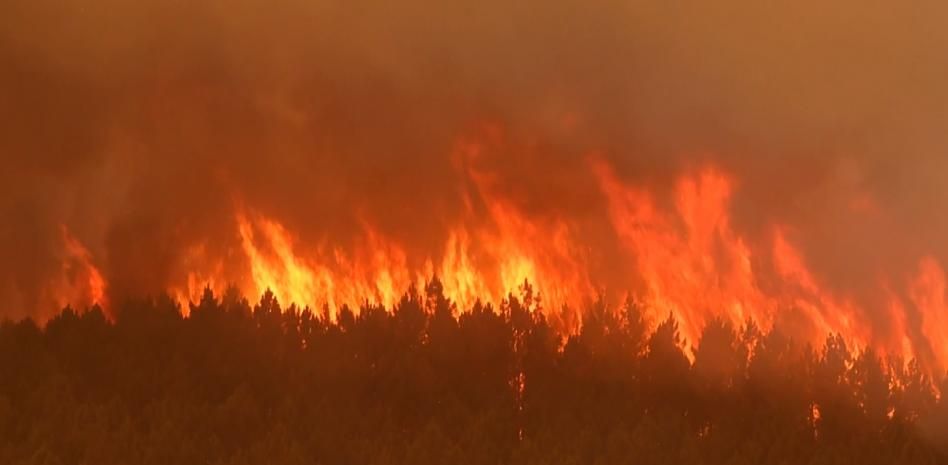 Las llamas entran en el Parque Nacional de Monfragüe y avanzan "a toda velocidad"