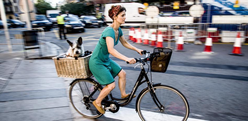 ‘Perrhijo’: cuando el perro es algo más