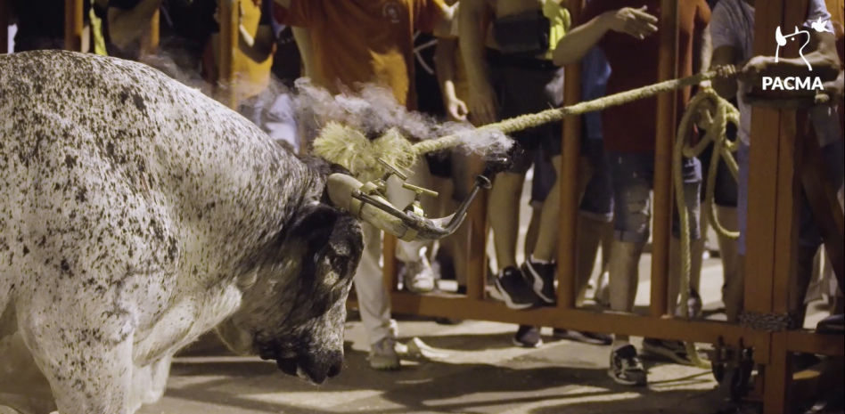 Sin nuevas medidas para atajar las tragedias de los 'bous al carrer' en la Comunidad Valenciana