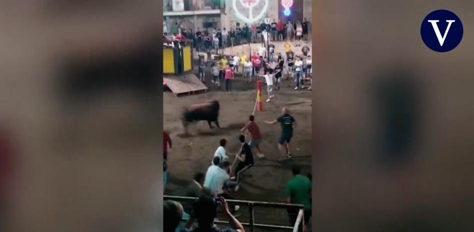 Muere otro toro en los festejos de la Comunidad Valenciana en pleno debate de los 'Bous al carrer'