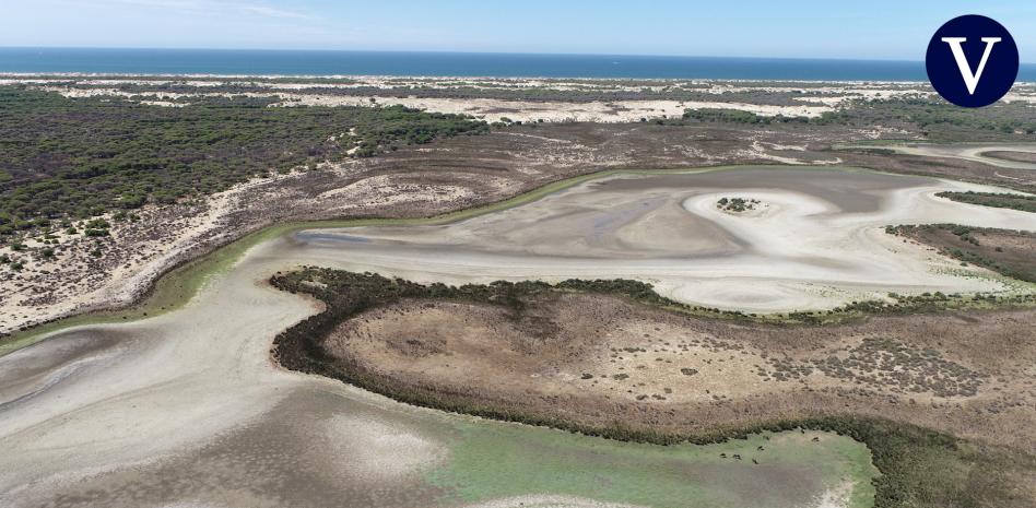 La desecación acerca Doñana al punto de no retorno
