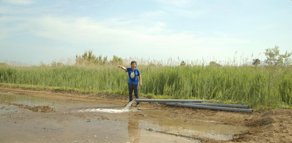 La masovera que cuida de los humedales: los hábitats más amenazados del planeta