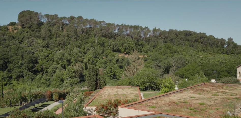 Un paraíso verde: donde los techos son jardines que capturan el CO₂ y los residuos son compost