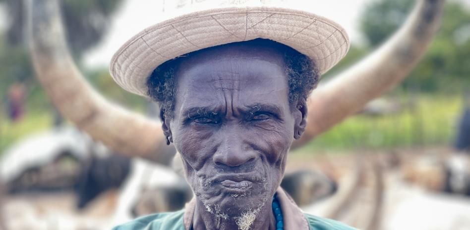 Las vacas entran en política en Sudán del Sur