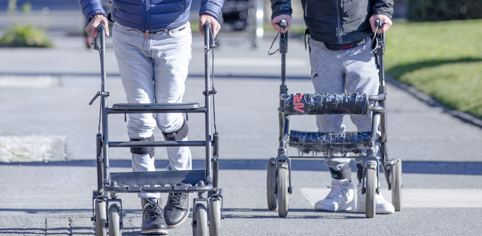 Identifican las neuronas que permiten volver a caminar tras una lesión medular