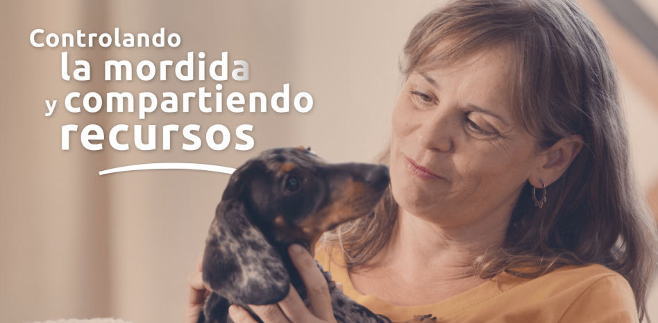 Cómo enseñar a tu perro a compartir y controlar su mordida, desde cachorro