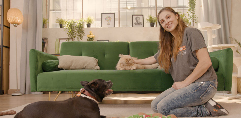 ¿Cómo conseguir que tu gato acepte a un perro en casa? Pasos a seguir para una buena presentación