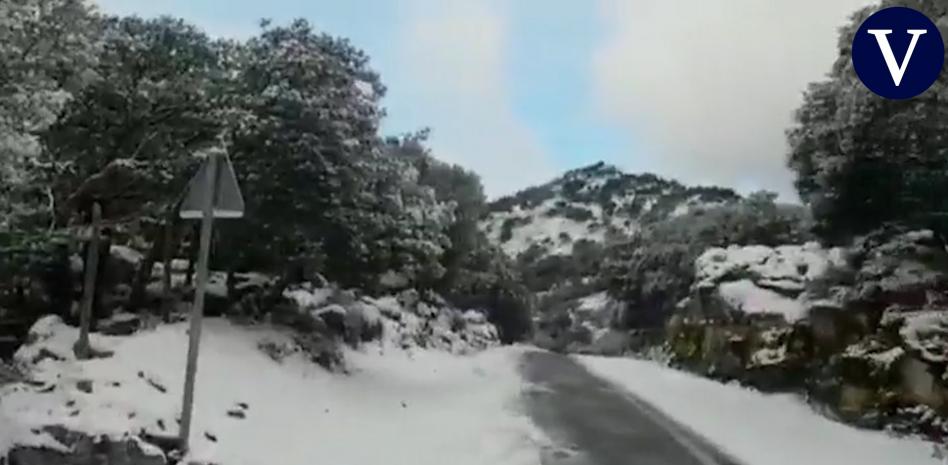 Hasta siete centímetros de espesor: cae una nevada histórica en Mallorca
