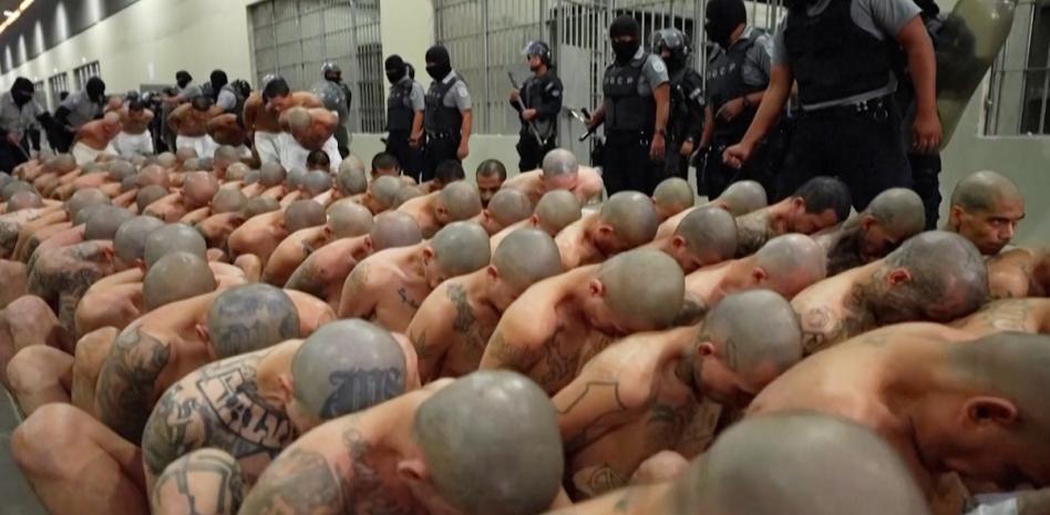El traslado de 2.000 maras a la megacárcel de El Salvador: "No volverán a salir caminando del CECOT"