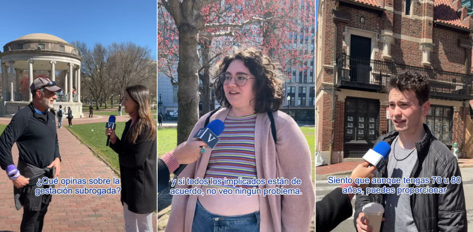 Estadounidenses, sobre la gestación subrogada de Ana Obregón: "No es comprar un bebé"