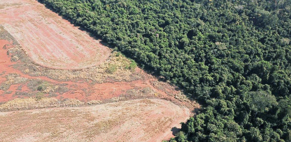 Viaje a la tierra de la ayahuasca