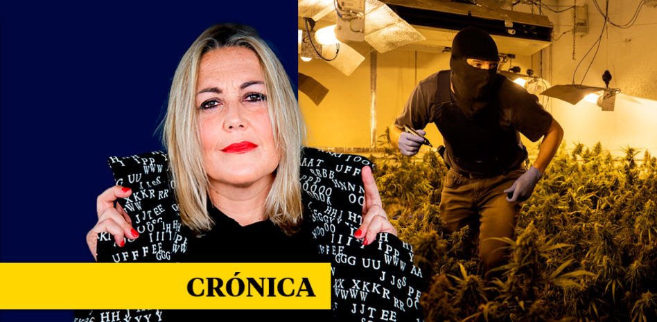 Los jueces desmontan un cultivo de marihuana a la semana en la Mina