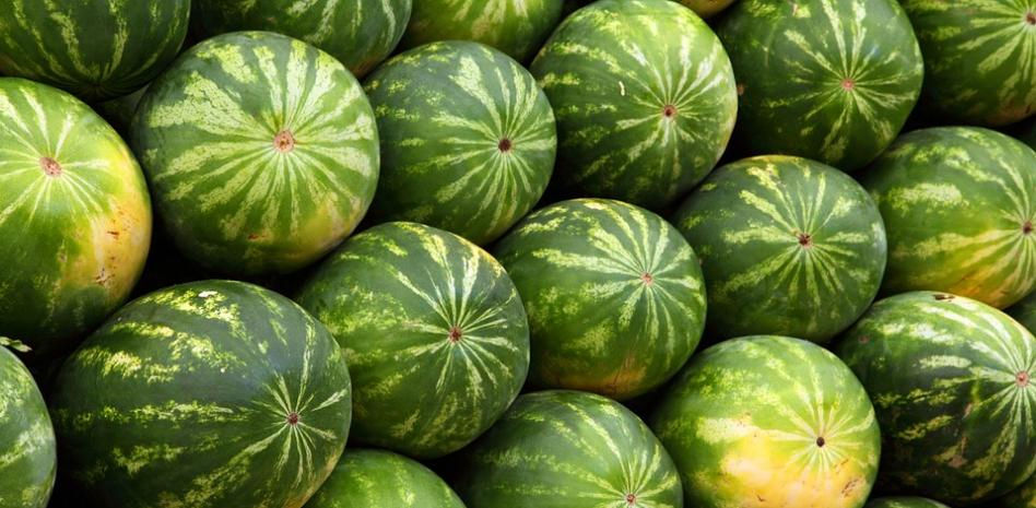 ¿Por qué no hay sandías en España y se traen de Marruecos?