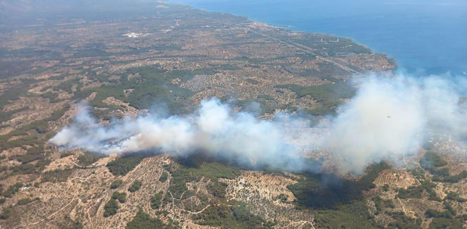 Controlado el incendio del Perelló después de quemar 25 hectáreas de bosque y cultivos