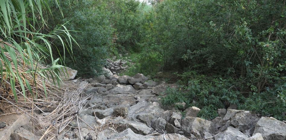 Decretados los primeros estados de emergencia por la sequía en Catalunya