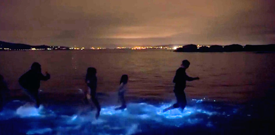 Las aguas de la Costa da Morte gallega brillan de noche gracias al azul de las algas bioluminiscentes