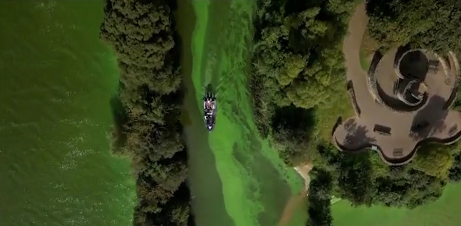 Un alga tóxica envenena el mayor lago de agua dulce de Reino Unido e Irlanda