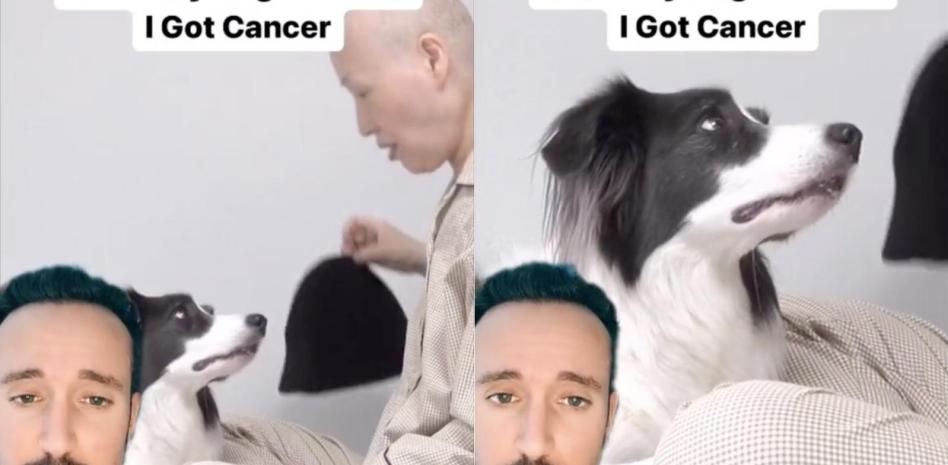 La emotiva reacción de un border collie al descubrir el nuevo aspecto de su dueño por el cáncer: "Demuestra la empatía de los animales"