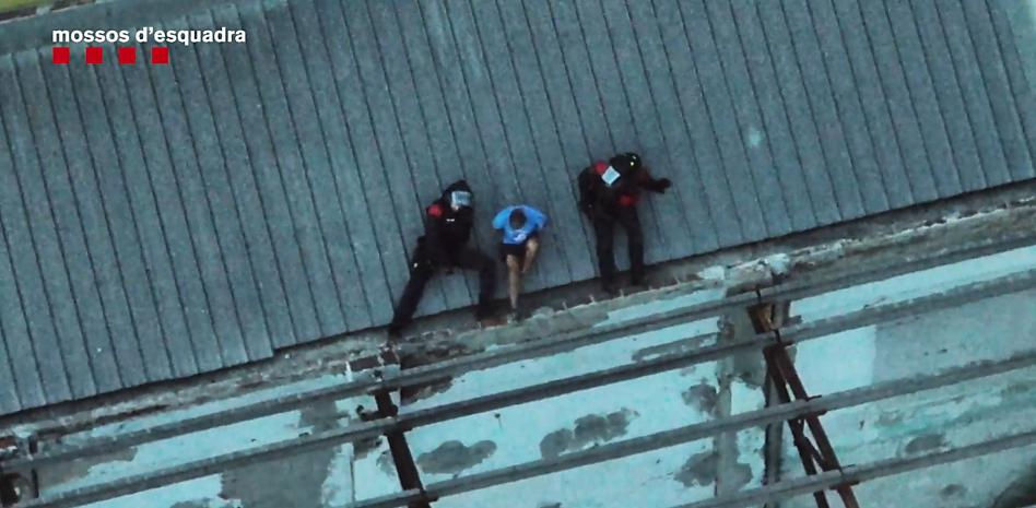 Desmantelada una plantación de marihuana en Sant Adrià de Besòs con más de 900 plantas