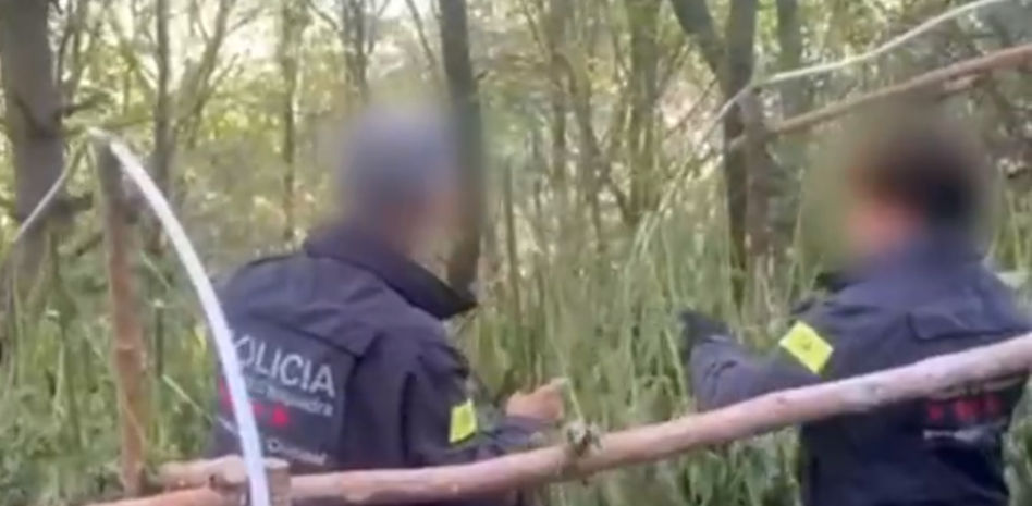 Desmantelados dos grupos criminales dedicados al cultivo de marihuana en el Pirineo catalán