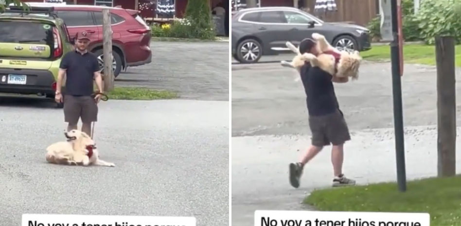 La surrealista actitud de un perro en plena calle: “No voy a tener hijos porque no me gustan los berrinches”