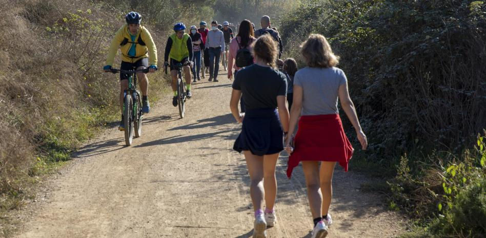 El ejercicio reduce un 20% la mortalidad en algunos cánceres