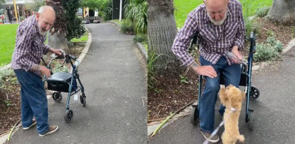 La relación entre un cachorro y un anciano que se conocen del parque y hace llorar a la gente: "almas gemelas"