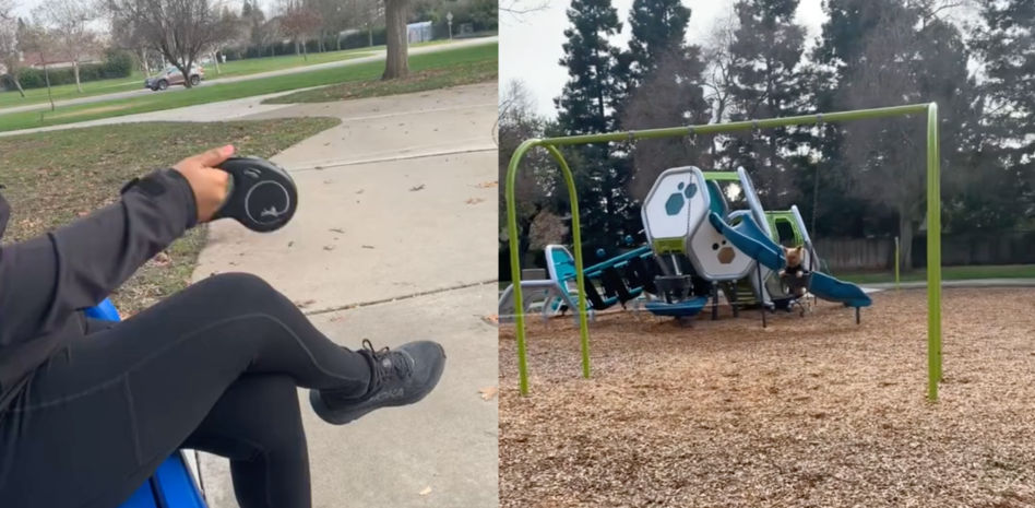 La gente alucina con cómo pasea a su yorkshire por el parque